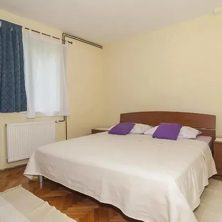 Ana 2*